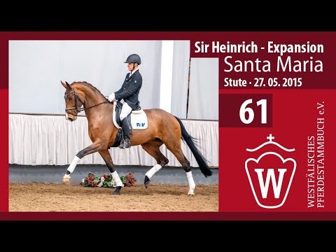 61 Santa Maria Stute v.  Sir Heinrich-  Expansion
