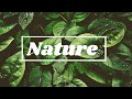 Motion Nature Background