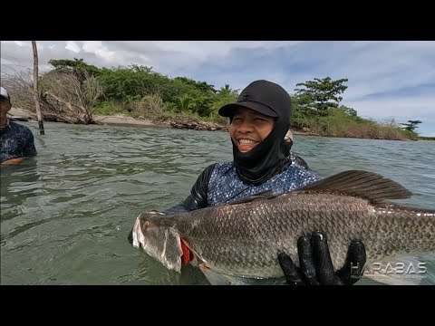 EP710-P3 - Baramundi Catch and Cook | Another Dream Fish Unlocked