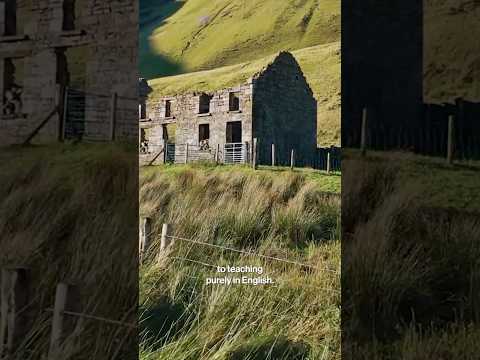 How Ireland’s Native Language Nearly Vanished