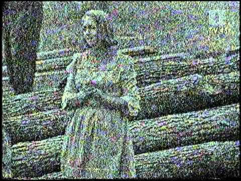 Ansambel Pavla Kosca - Mesečina.wmv