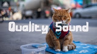 Cape Cub - Swim (Romsen Remix)