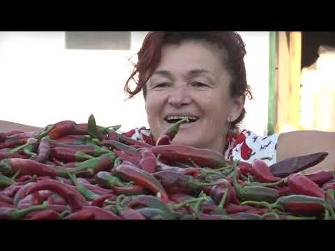 Agro karavan ep.53 25.11.2018. Sombor
