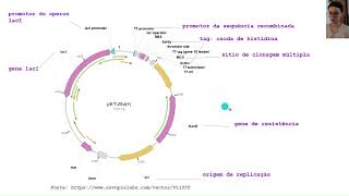 (Parte 1) Aula - Expressão e purificação de proteínas recombinantes