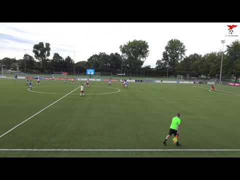 Kampong - s.v. de Valleivogels