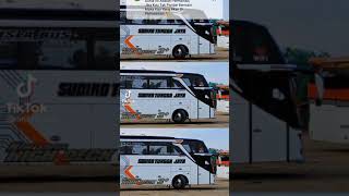 Download lagu Story Wa Bus STJ mp3 Download lagu Story Wa Bus STJ mp3