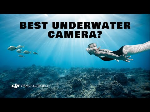 DJI Osmo Action 4 Underwater Review | Adventure Tested