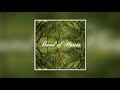 Band Of Horses - St. Augustine