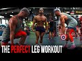 PERFECT Leg Workout To Build BIG STRONG LEGS (Pro Tips for Training)