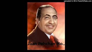 Jaan Pehchan Ho..