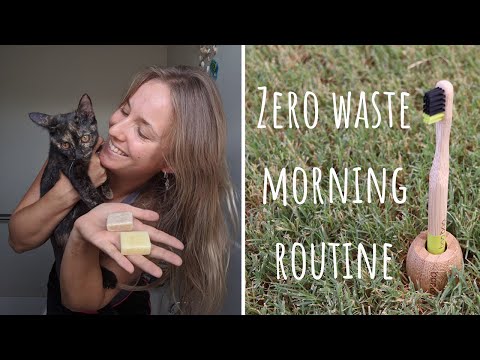 Zero Waste Morning Routine with Cats and Dogs