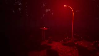 Forbidden Forgiveness (Part 2)