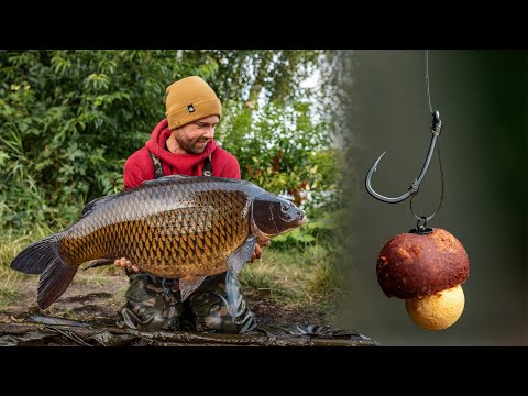 The D-Rig | The ULTIMATE rig for carp fishing 🔥