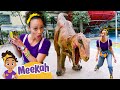 Meekah Meets A REAL Dinosaur Blippi And Meekah Best Friend Adventures Educational Videos