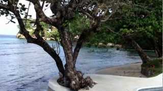 preview picture of video 'Wilks Bay, Port Antonio, Jamaica'