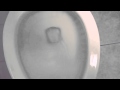 Kohler Wellworth Pressure Lite Toilet Take 2