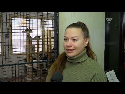 Komárňanský magazín 03/2026