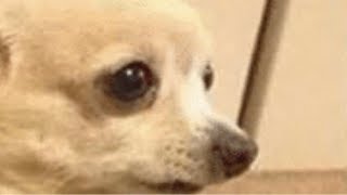 r/boottoobig Top Posts of All Time