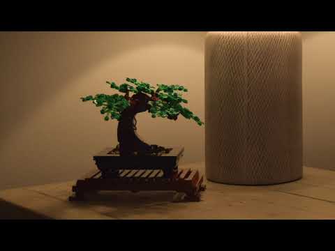 Build in Real Time Bags 1,2,3,4. LEGO Bonsai Tree 10281. Relax and Enjoy!  LEGO Botanical Collection