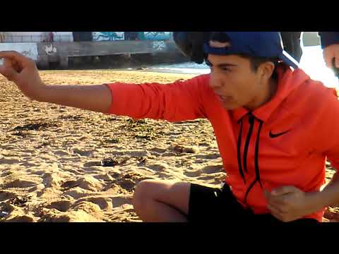 FABRO vs NICO - EN LA PLAYA