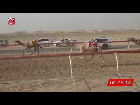   ش 7 (مرحب) لـ خميس مسلم سليم الزرعي 7:42 , شارة الديوان 3 2026/10/06 سويحان ايذاع  
