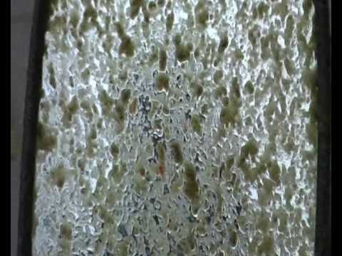 nmhc schoonmaak waterveld