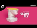 Slowfly My Answer S No