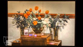 Nick Dolan - Davidson Glass video