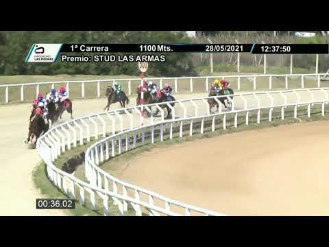 210528 c01- YABURU - HIPODROMO LAS PIEDRAS