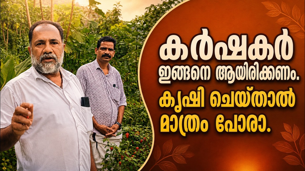 കർഷകർ ഇങ്ങനെ ആയിരിക്കണം. കൃഷി ചെയ്താൽ മാത്രം പോരാ. | Farmers should be like this. It's not enough to just farm.