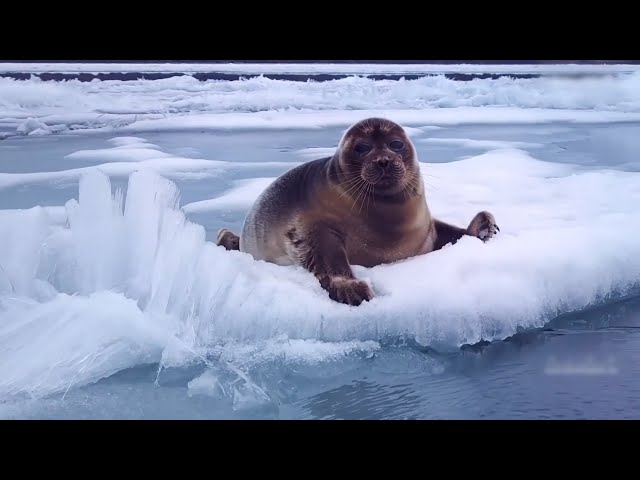 Иркутская область установила исторический рекорд по числу туристов за летний сезон 2025 года