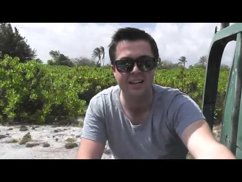 A Little Bit Of Paradise