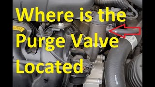 Where is the Purge Valve Located? How To Locate the Evap Purge Valve.