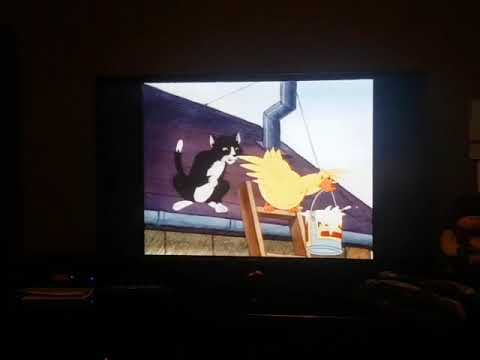 Little Bear Polar Bear