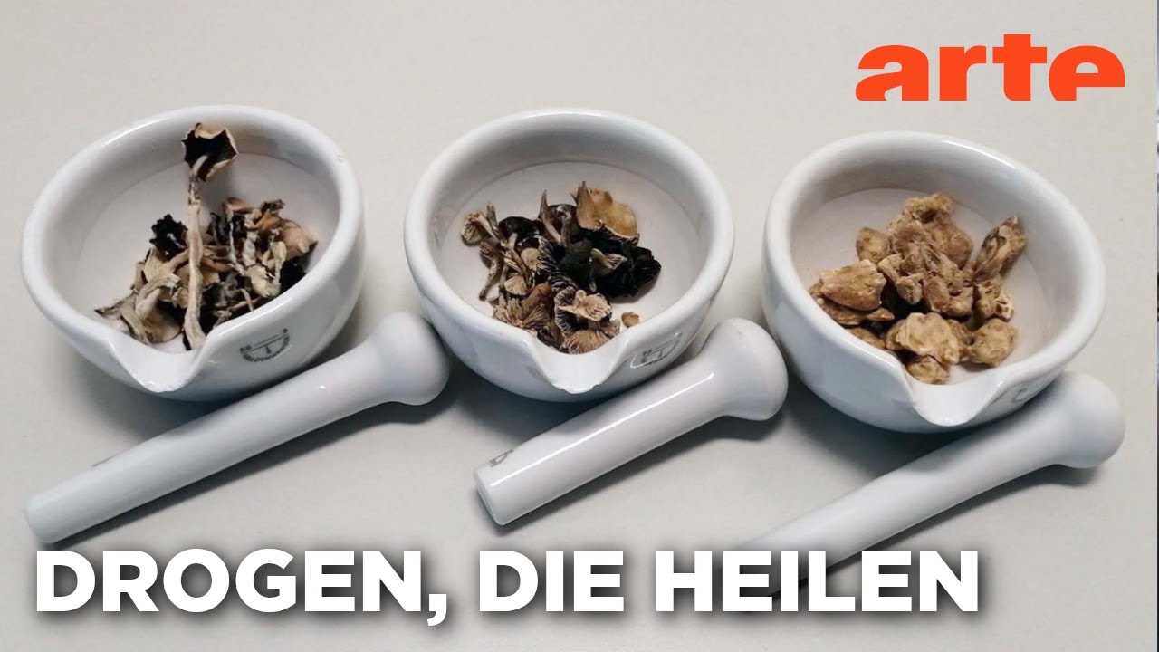 Vorschaubild für Heilende Drogen