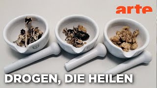 Heilende Drogen | Doku HD Reupload | ARTE