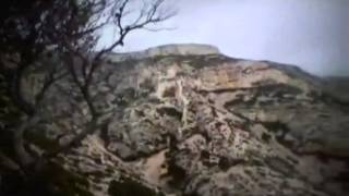 Avey Tare - Glass Bottom Boat