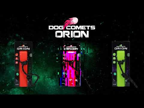 Dog Comets Orion