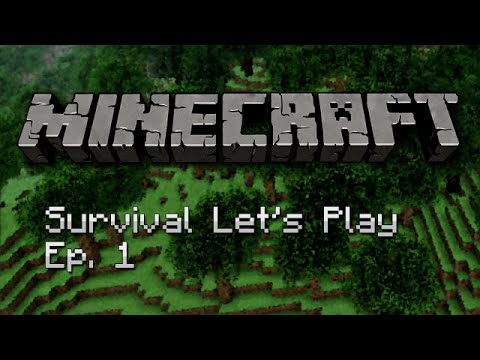 Minecraft Let's| ''BEST SEED EVER! |Part 1