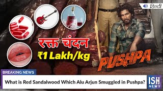 What is Red Sandalwood Which Alu Arjun Smuggled in Pushpa?