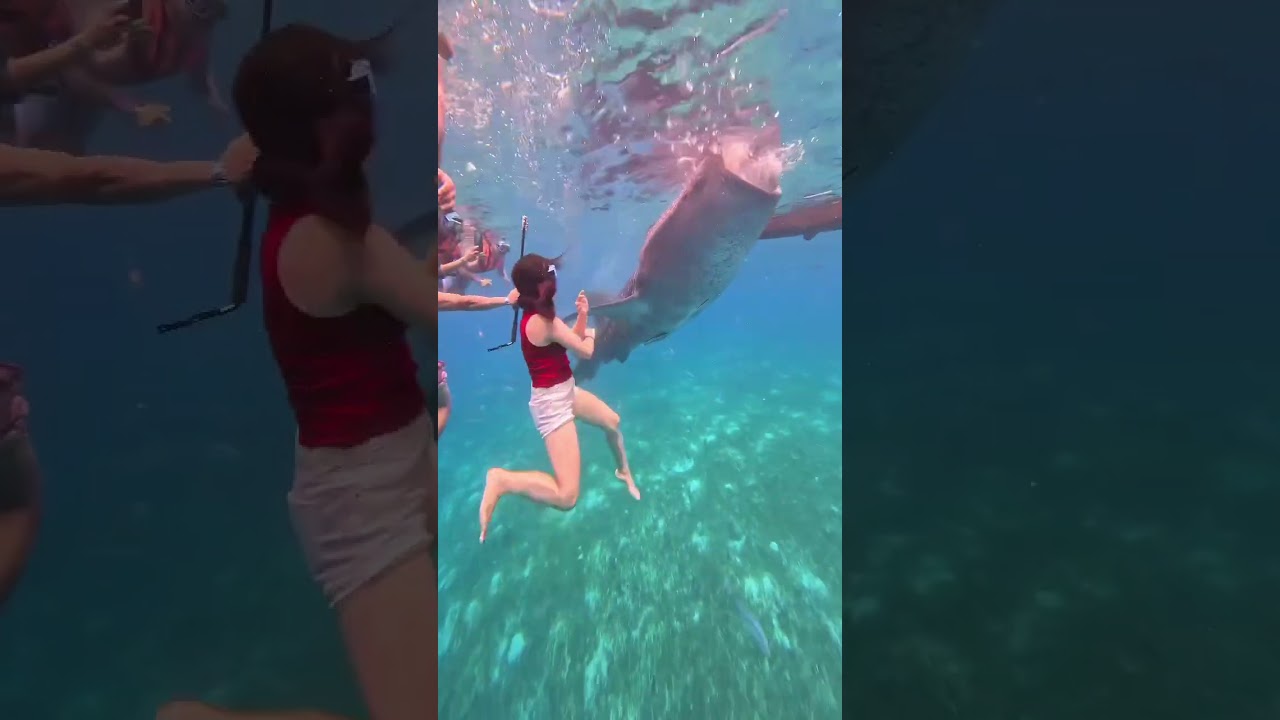 YouTube Short thumbnail