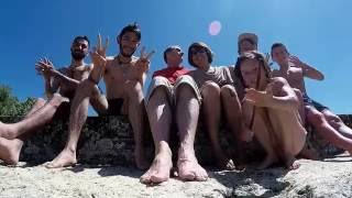 Paris á Fribourg / Freiburg nach Berlin (Flying Foxes - Moby)