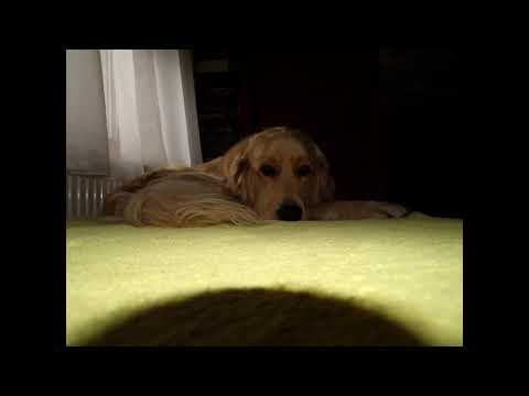 SMOOSSY - BEGINNER Mix 13# -[Hardstlye edition]