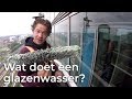 Wat doet een glazenwasser? | Doen ze dat zo? | Het Klokhuis