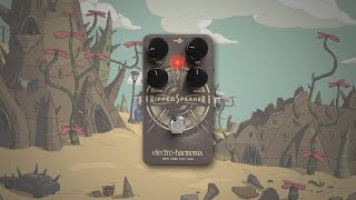 Video thumbnail for Electro-Harmonix Ripped Speaker Fuzz Demo by Megan L
