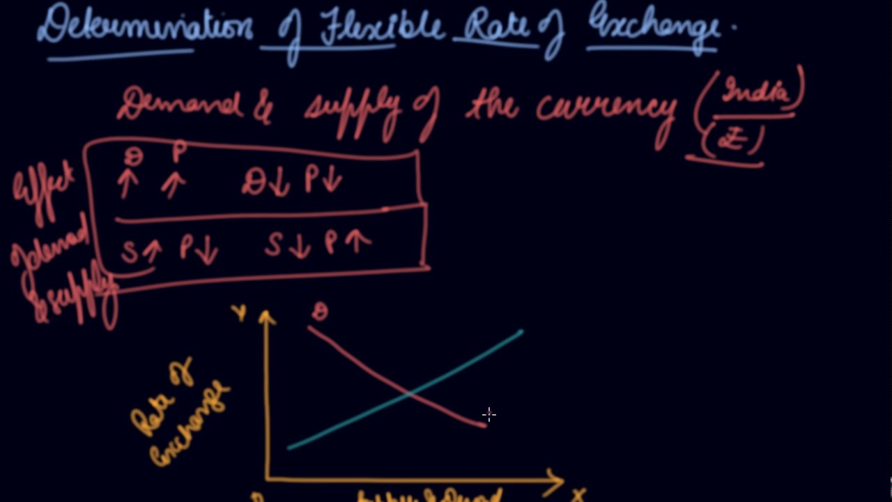 Determination of Flexible Rate of Exchange | Class 12 Macroeconomics Balance of Payments