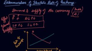 Determination of Flexible Rate of Exchange | Class 12 Macroeconomics Balance of Payments