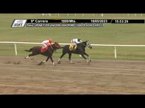 SINT - COLONIA 230519 - c09 1° BELO PALPITE (BRZ)