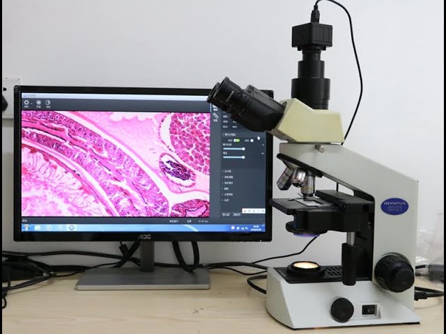 Vídeo relacionado con Tomvorks Cámara Microscópica de Alta Velocidad de 5MP, Ocular Digital para Captura Imágenes, Interfaz USB2.0, para Reconocimiento Patrones, Plásticos+Vidrio