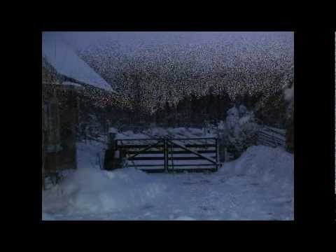 Tiit Paulus & Datevik Hovanesian 1984.a.